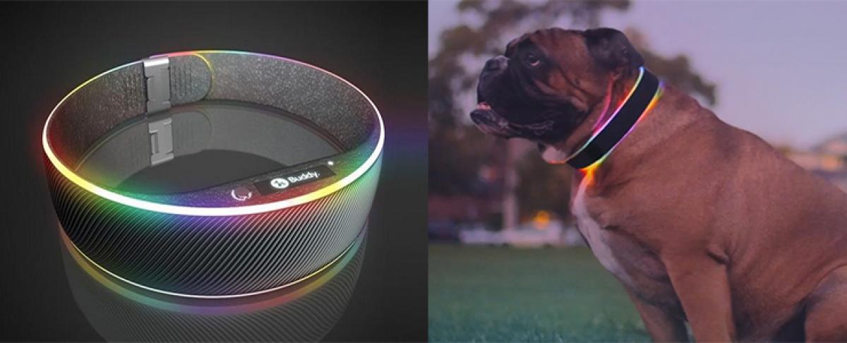 Smart dog collar with WiFi, helps you keep a track of your pet